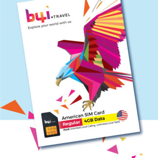 american travel sim - regular package img